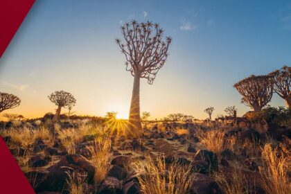 ab0e2dc24b70f47096f83f5771bd5a00