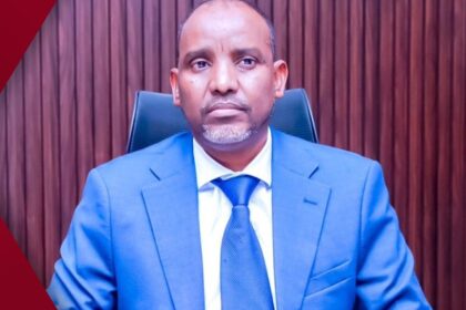 8d49c336-d421-4019-8068-5c161bfe1add-1024x901-1