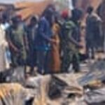 A single white daisy with a bright yellow center stands upright against a softly blurred green background, illuminated by gentle daylight.