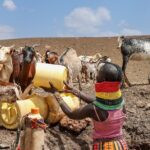 A fluffy golden retriever puppy trots along a sunlit forest path covered in golden and red autumn leaves, its ears perked and tail wagging with excitement.