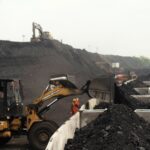 Close-up of a metallic emerald-green dragonfly resting on a dry brown twig against a softly blurred background