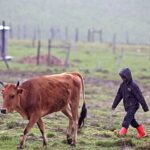 Screenshot of a CMS version 2 backend dashboard at 640x360 resolution