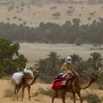 Reflective glass skyscraper in downtown business district mirroring surrounding buildings and blue sky