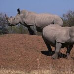 Contemporary glass-paneled office building reflecting blue sky and clouds