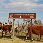 Contemporary glass office tower with geometric facade reflecting bright blue sky and white clouds