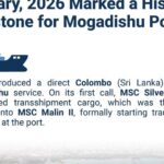 Smiling builder wearing bright yellow safety helmet and orange high-vis vest