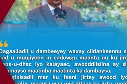 Close-up of a vibrant orange and black monarch butterfly resting on a lush green leaf, wings spread revealing intricate patterns