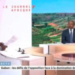 Close-up of a vibrant bouquet featuring deep red roses surrounded by silvery-green eucalyptus leaves, wrapped in crisp white paper and tied with a satin ribbon.