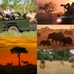 Repeating black and white angular shapes forming an abstract geometric tessellation