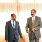 A dense spike of bright scarlet Erythrina lysistemon blossoms hanging against a clear blue sky
