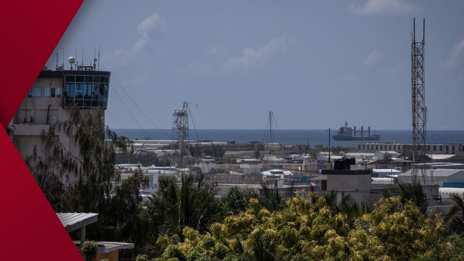Close-up portrait of a cheerful senior Caucasian woman with grey hair, looking directly at camera with a genuine smile, bathed in soft natural daylight.