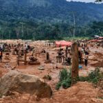 Close-up of a curious tabby kitten with large green eyes looking up